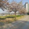 Отель The beautiful scenery of the Han River hostel, фото 9