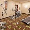 Отель Holiday Inn Express Hotel and Suites St. Charles, an IHG Hotel, фото 16