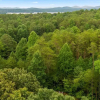 Отель Bluebird Lagoon-close to Lake Blue Ridge Marina, фото 39