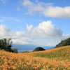 Отель Hualien Paris Home B&B -Moon, фото 20