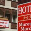 Отель Vila Muresul, фото 1