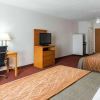 Отель Comfort Inn & Suites Chesapeake - Portsmouth, фото 3