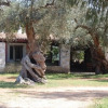 Отель Scalilla - L'Agriturismo, фото 16