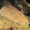 Отель Alter Native Stay, фото 6