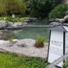 Отель Baodun Lake Hushan Hot Spring Resort, фото 31