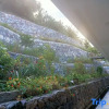 Отель Dechenz Middle Homestay, фото 6