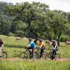 Отель Reilly's Rock Hilltop Lodge, фото 13