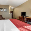 Отель Comfort Inn & Suites, фото 4