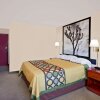 Отель Super 8 by Wyndham Yucca Val/Joshua Tree Nat Pk Area, фото 3