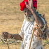 Отель Aravali Nature Luxury Camp, фото 32