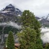 Отель Mountain Hostel Gimmelwald, фото 1