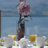 Отель Bella Luna Bed and Breakfast, фото 13