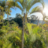Отель Ocean Breeze Resort, фото 22