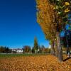 Отель Guest House Chaves, фото 2