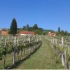 Отель Weinhof Gästehaus Radl, фото 39