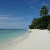 Отель D' Coconut Pulau Besar Resort, фото 8