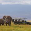 Отель Elewana Tortilis Camp, фото 4