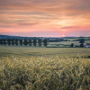 Отель Pardlestone Farm: B&B, фото 3