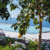 Отель Best Western Plus Hotel Terre di Eolo, фото 26