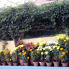 Отель Sagarmatha Apartment Bed & Breakfast, фото 34