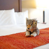 Отель Gray Wolf Inn & Suites, фото 3