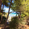 Отель Apartment With in Drossia Chalkis With Wonderful sea View, фото 11