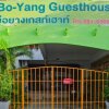 Отель Bo-Yang Guesthouse в Сонгкхла