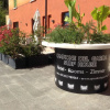 Отель Campione del Garda Surf House - Hostel, фото 12