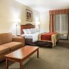 Отель Comfort Inn & Suites Galt - Lodi North, фото 42
