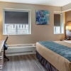 Отель EconoLodge Downtown Toronto, фото 20