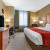 Отель Comfort Inn & Suites Near Mt. Rushmore, фото 30