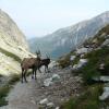 Отель Privat Iva Vysoke Tatry, фото 21