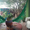 Отель Hostel Jabuticaba, фото 21