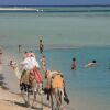 Отель Blue Reef Marsa Alam - All inclusive, фото 14