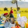 Отель Losokwan Luxury Tented Camp - Maasai Mara, фото 3