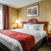Отель Comfort Inn & Suites, фото 4