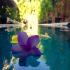 Отель Hacienda la Rusa, фото 15