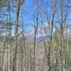 Отель Pet-friendly Smoky Mountain Cabin: Hunt & Fish!, фото 13