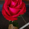 Отель mengtongjiudian, фото 27