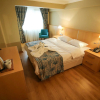 Отель Artika Hotel, фото 7