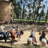 Отель Hacienda Suescun, фото 21