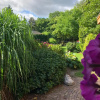 Отель B&B Perron Vechtdal, фото 16