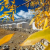 Отель Pangong Sarai, фото 12