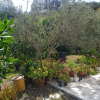 Отель Villa Athina 3, фото 1