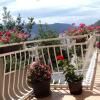 Отель Apartments Mediteran в Херцег-Нови