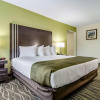 Отель Quality Inn & Suites Creedmor - Butner, фото 22