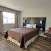 Отель Cedar Lodge Motel, фото 4