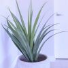 Отель Executive Skylight 20South Apartment, фото 12