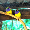 Отель The Winton Bed & Breakfast, фото 11