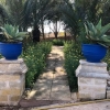 Отель Ta Skorba Farmhouse Mgarr, фото 17